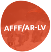 Нижегородский AFFF/AR-LV